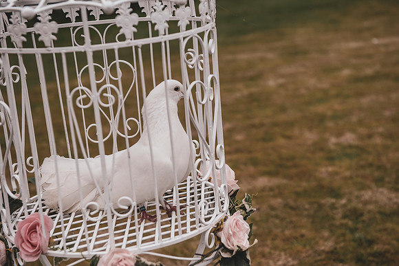 joanna&frankie059